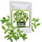 Stevia rebaudiana - 1 porzione di circa 100 semi/confezione - Sostituto naturale di zucchero senza calorie