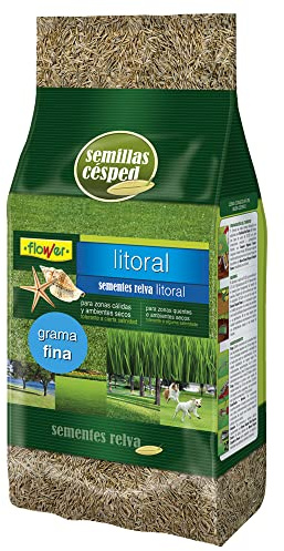 Flower - Semillas Césped Litoral Grama Fina 1kg | Zonas Cálidas, Ambientes Secos | Tolerante a Salinidad | Cubre 35m2 | Solar Total, 20.4x7.5x31cm, Semilla
