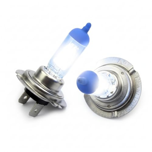 * 24V * H7 Xenon Optik GAS Halogen Lampen Birnen TRUCK für LKW BUS Super White Birnen Autolampen 70W 100% Zugelassen im Bereich der StVZO
