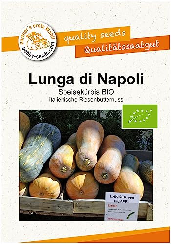 Lunga di Napoli BIO Kürbissamen von Bobby-Seeds Portion