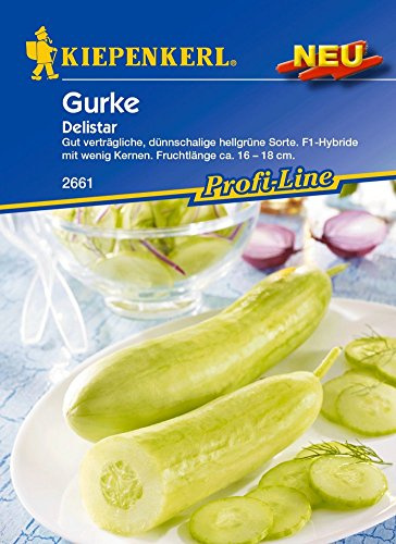 Gurkensamen - Salatgurke Delistar von Kiepenkerl