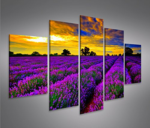 islandburner Bild Bilder auf Leinwand Lavendelfeld V4 Lavendel Provence MF XXL Poster Leinwandbild Wandbild Dekoartikel Wohnzimmer Marke