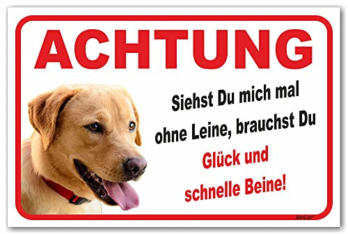 AdriLeo Schild - Vorsicht blonder Labrador Retriever - Ohne Leine - (20x30cm) / Achtung Hund Wachhund robust langlebig UV-beständig wetterfestes Warnschild (beige/gelb)