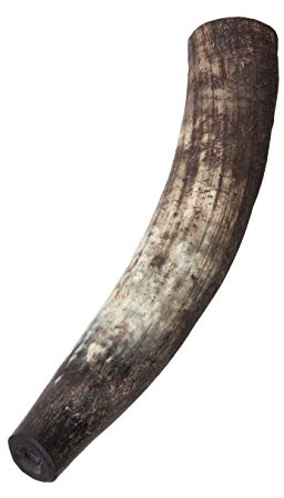 natural Cuerno de llamada aprox. 1,2 – 1,5 l Troll Horn