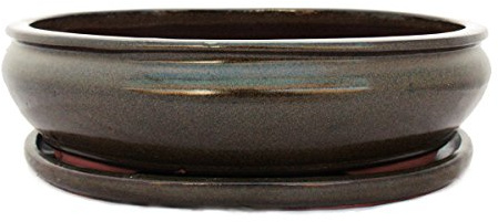 exotenherz Bonsai-Schale mit Unterteller Gr. 6 -Oliv -Braun - oval - L 36cm - B 28cm - H 10cm