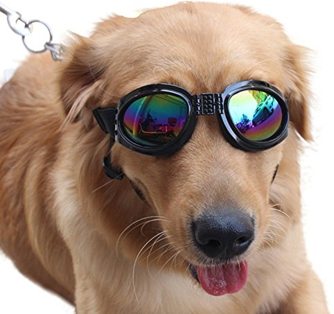 NACOCO Pet Glasses Dog Sunglasses Dog Glasses Golden Retriever Samoyed Sunglasses Goggles Big Dog Sunglasses (Black)