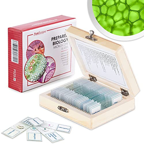 AmScope PS25 Mikrospie Zoologie 25 Stück Lern Experiment Set Dauerpräparate Objektträger mit Holzkasten