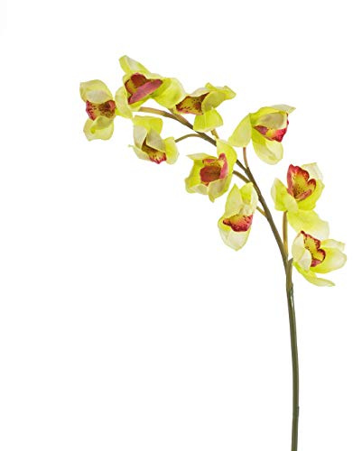 artplants.de Ramo d'orchidea cymbidium Artificiale, Naturale al Tatto, Giallo-Verde, 80cm - Fiore Artificiale/Orchidea Decorativa