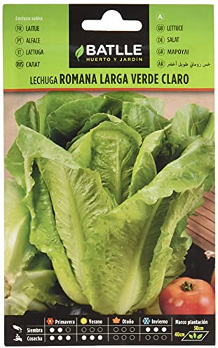 Batlle Gemüsesamen - Hellgrüner Römersalat (6400 Samen)