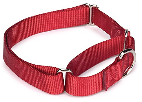Guardian Gear Nylon Martingale Dog Collar, Fits Necks 10 to 16, Red