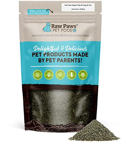 Raw Paws Organic Kelp Powder for Dogs & Cats (8-Ounce) - Supports Thyroid, Digestive & Immune Health - Dried Sea Kelp for Dogs - Seaweed Powder Supplement
