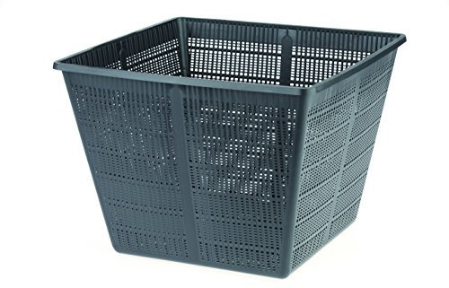 Oase 54313 Panier à Plantes Carré 35 cm, Noir