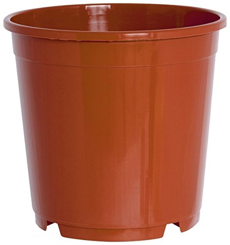 Geli 10er Set Pflanzkübel CONTAINERTOPF 21 cm rund aus Kunststoff Sparpaket
