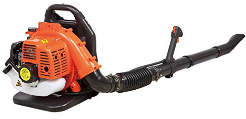 Varan Motors KGT-lb4033 VARAN MOTORS Benzin LAUBBLÄSER MOTORBLASGERÄT MOTORLAUBBLÄSER 42CM³ 2,1 PS