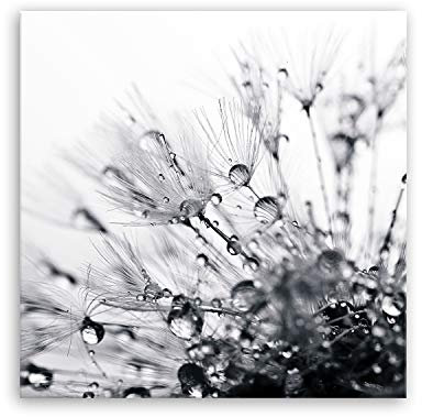 ge Bildet Bild auf Leinwand | another world - schwarz weiß - Blumen Natur Pusteblume in 50x50 cm als Wandbild | Wand-deko Dekoration Wohnung modern Bilder | 1056