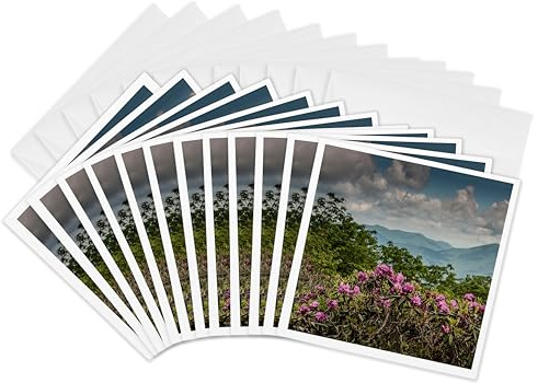3dRose gc_208390_2 6 x 6-Inch Catawba Rhododendron, Craggy Gardens, Blue Ridge Parkway, Nc, USA Greeting Card (Set of 12)