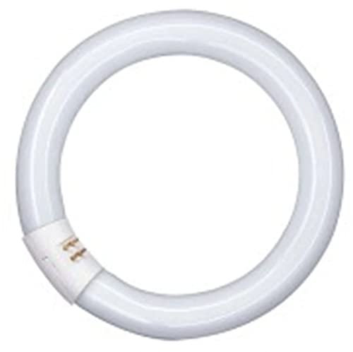 Osram Lumilux T9 C Leuchtstoffröhre, G10Q-Sockel, 22 Watt, Kaltweiß - 4000K