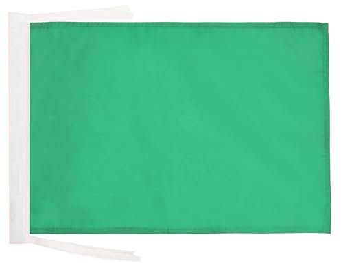 AZ FLAG Bandiera Monocolore Verde 45x30 cm - Bandierina Verde 30 x 45 cm Cordicelle