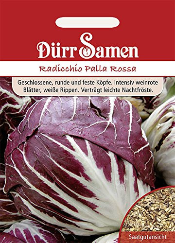 Dürr-Samen - Radicchio Palla Rossa Saatgut