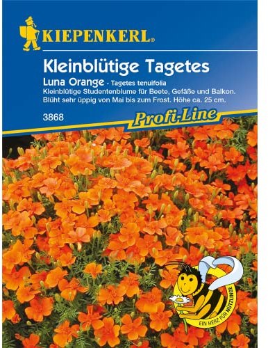 Sperli Blumensamen Tagetes tenuifolia Luna Orange, grün