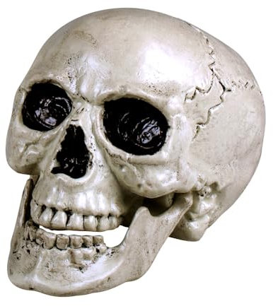 Boland 10106128 74362 dekoration skalle Maxilla med öppningsbar mandible, vit