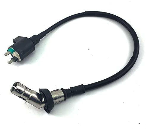 ZÜNDSPULE mit KERZENSTECKER kompl. für 4-VENTIL Motoren Typ 139QMA-A für BAOTIAN BT49QT-20 TIGER PANTHER YIYING QINGQI KYMCO CHINA ROLLER GY6 50ccm 139QMA-A MOTOREN
