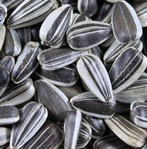 Sonnenblumenkerne gestreift 20Kg Vogelfutter Fettfutter Streufutter Winterfutter