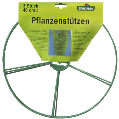 Dehner Pflanzenstützen, Ø 40 cm, 3 Stück, Grün