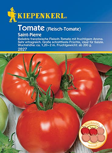 Kiepenkerl 2827 Fleischtomate Saint Pierre (Fleischtomatensamen)