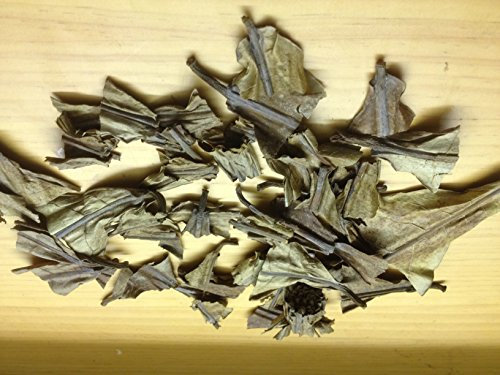 garnelenshop24de 100 Gramm Seemandelbaumblätter Extrakt Catappa Leaves Blatt-Enden-Konzentrat Wasseraufbereitung und Futter
