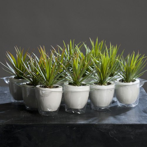 Agave Kaktus Kunstpflanze Sukkulente im Keramiktopf, 2-farbig sortiert, 18 cm