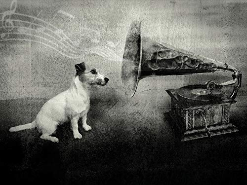 1art1 Hunde Poster His Master's Voice, Jack Russell Terrier Kunstdruck Bild 80x60 cm
