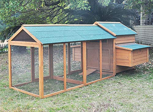Zoopplier Winterfest Hühnerstall-wetterfest Hühnerhaus- XXL große Wachtelstall Gluckshaus mit Ausauf Kombi II massivem Holz-geeignet für 4-6 Hühner-auch als Entenstall Hasenstall