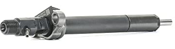DELPHI R06001D-12B1 Injecteur