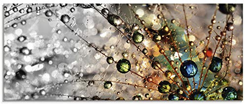 ARTland Wanddeko Glasbilder Wandbild Glas Bild einteilig 125x50 cm Querformat Natur Botanik Blumen Pusteblume Frühling Wassertropfen Modern T9IN