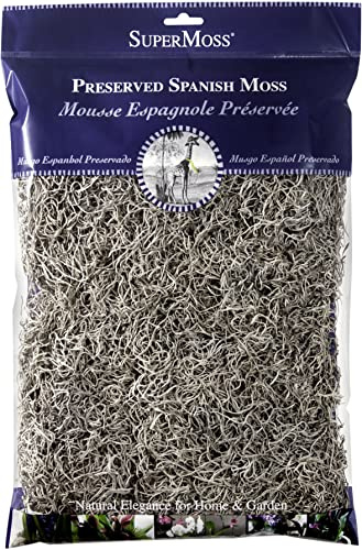 SUPERMOSS (26911 Spanish Moss Dried, Natural, 8 Ounces | Decorative Moss for Crafts, Potted Plants & Fairy Gardens, Vase Filler & Floral Arrangements, Indoor/Outdoor Garden Projects