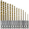 Malayas 13PCS - Set di Punte per Trapano in Acciaio HSS ad Alta velocità Rivestito in Titanio, Codolo Esagonale