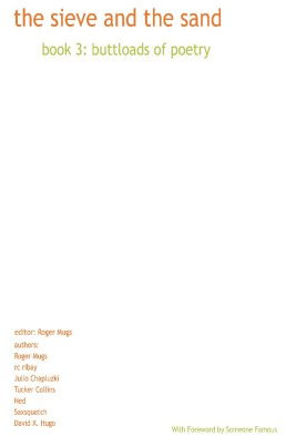 the sieve and the sand: book 3. buttloads of poetry