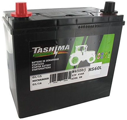 Greenstar 12685 Batterie tashima NS60 F692