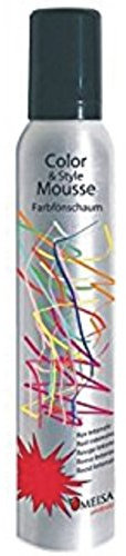 Omeisan Color & Style Mousse Perlgrau, Farbschaum 200ml