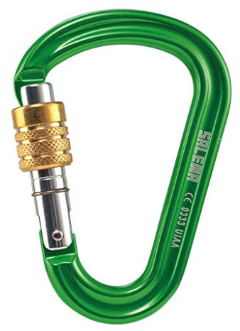 Salewa HMS Karabiner Pro Carabiner, Limegreen, 10 x 7 x 1 cm, 00-0000001521