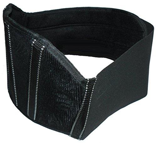Protectwear Nierengurt mit Klettverschluß Ng - Schwarz, Größe L
