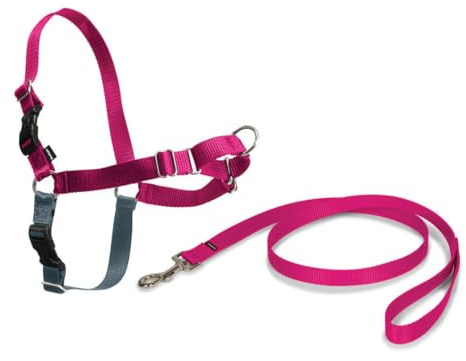PetSafe Easy Walk - Arnés Antitirones para Perros, 4 Puntos de Ajuste, Adiestramiento de Perros, Evita Asfixia, Fácil de Poner y Quitar - Frambuesa - Grande, L
