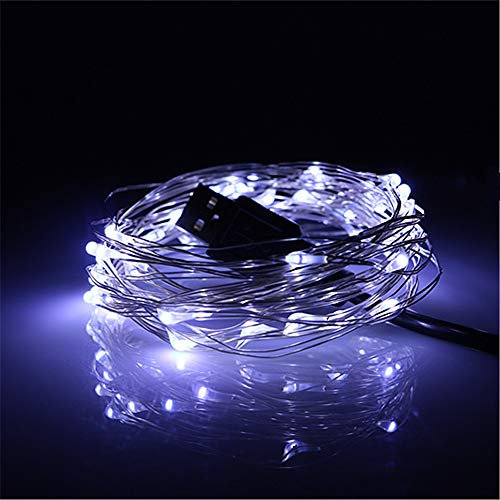 USB String Lights 5M/16.4ft 50 LEDs, USB Powered Silver Wire Micro Fairy Lights for Indoor Bedroom Wedding Christmas Party Decoration (Cold White)