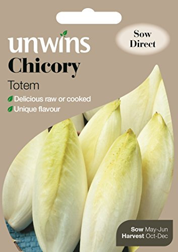 Unwins Chicory Totem Seeds