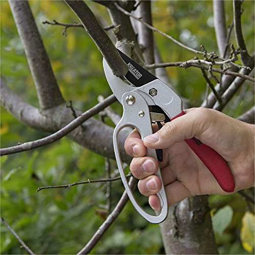 Kreator Jardín Tijeras con trinquete Tijeras de podar