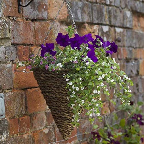 Smart Garden 12inch Country Rattan Hanging Cone