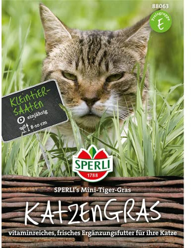 Sperli-Samen Katzengras SPERLI's Mini-Tiger-Gras 30 g