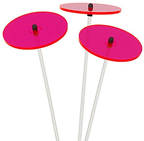 Cazador-del-sol ® - das Original | Mini-Cazadores | 3 Stück | Sonnenstrauß rot | Durchmesser 8 cm | Höhe 25 cm
