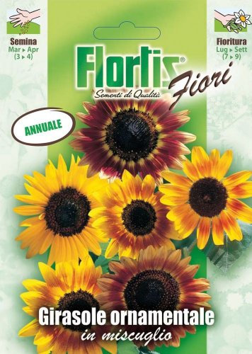 Flortis 4351086 Große Sonnenblume Mischung (Sonnenblumensamen)